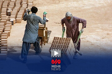 اینفوگرافیک؛جایگزینی نیروی کار ایرانی به جای اتباع در سیستان‌وبلوچستان