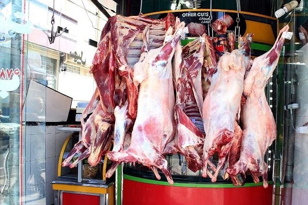 بهداشت و سلامت دام ها؛ اولویت کار دامپزشکان جنوب شرق ایران