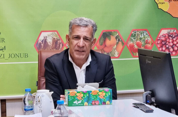 احمدپور: ۱۵۰ میلیون تن محصول با الگوی کشت دقیق در جنوب کرمان تولید شد