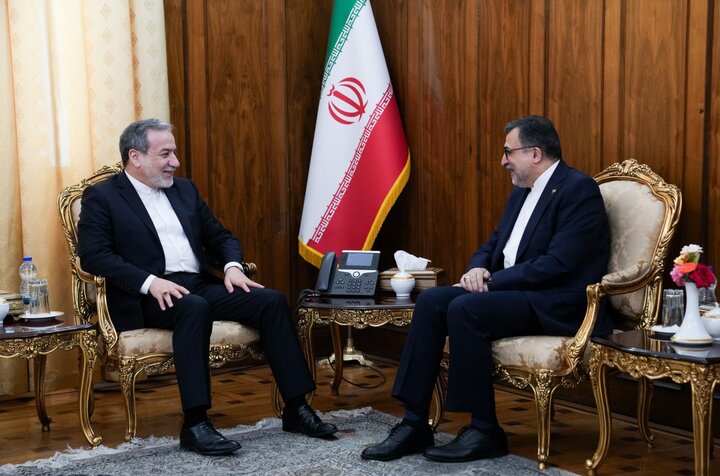 دیدار سفیر و نماینده دائم ایران نزد سازمان همکاری اسلامی با عراقچی