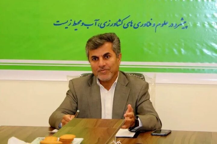 گمرکات فراموش‌شده شرق هرمزگان یادگار روزهای طلایی تجارت جنوب ایران