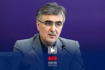 فرزین: بانک‌ها باید از بنگاه‌داری خارج شوند
