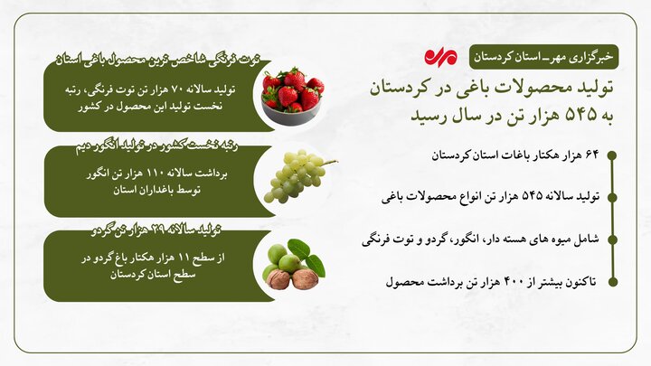 اینفوگرافیک؛ تولید سالانه ۵۴۵ هزار تن محصول باغی در کردستان
