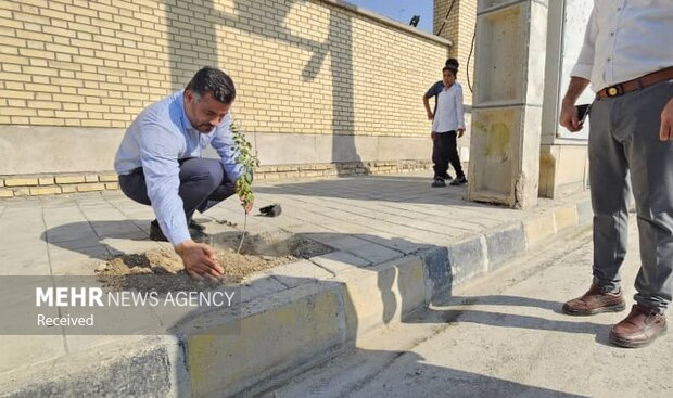 پویش «بردستان سبز» با مشارکت مردم و نهادها جان تازه گرفت