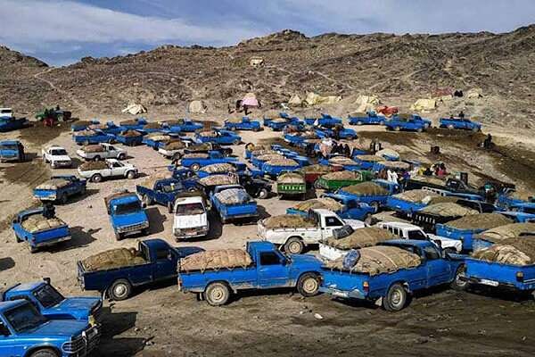 دود قاچاق سوخت به چشم کرمانی‌ها می‌رود؛ قدردانی مردم از دستگاه قضا