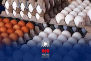 علت افزایش قیمت تخم مرغ چه بود؟