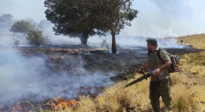 آتش‌سوزی مراتع جنگلی بخش گواور گیلانغرب دوباره شعله‌ور شد
