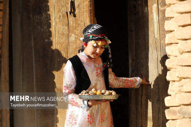 برداشت آلو در روستای «حیدره قاضی خان» همدان