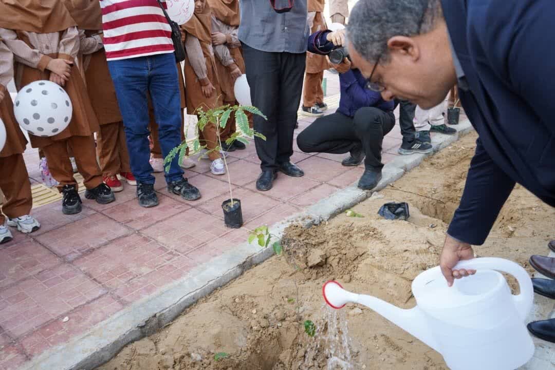 ۵۰۰۰ اصله درخت در عالیشهر کاشته شد