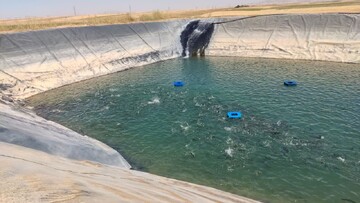 استخرهایی که جان تازه به کشاورزی دهگلان می‌دهند؛ پرورش ماهی سردآبی