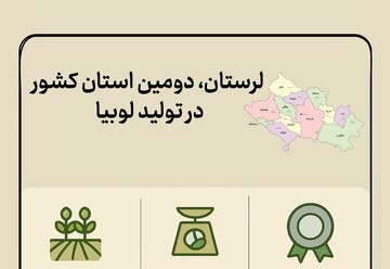 اینفوگرافیک؛ «لرستان» رتبه دوم کشور در تولید لوبیا