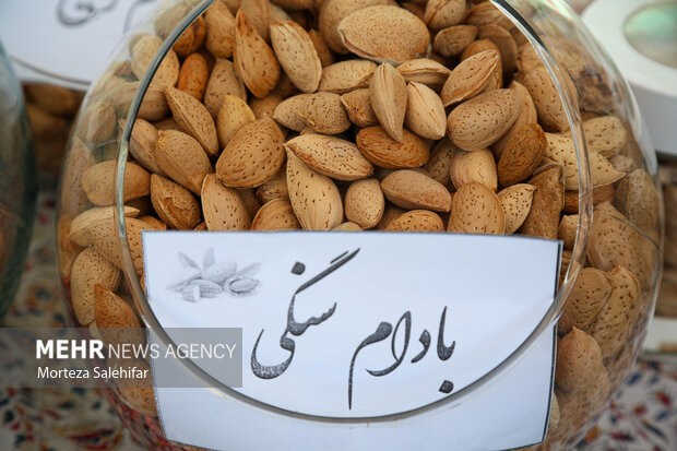 جشنواره بادام در سامان