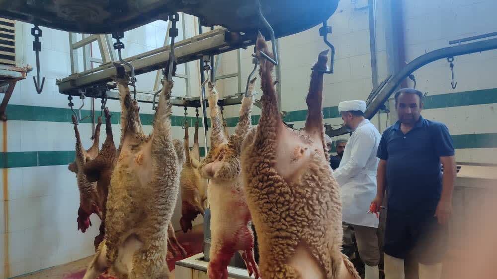 دامپزشكي،ذبح،دام،بهداشتي،نظارت،عرضه،تاسوعا