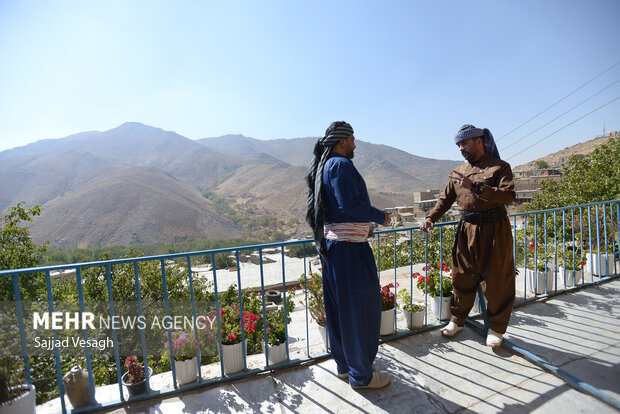 جشن آلو در روستای حیدره قاضی خان همدان