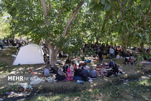 جشن آلو در روستای حیدره قاضی خان همدان