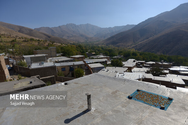 جشن آلو در روستای حیدره قاضی خان همدان
