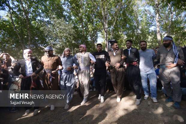 جشن آلو در روستای حیدره قاضی خان همدان