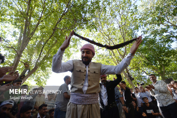 جشن آلو در روستای حیدره قاضی خان همدان