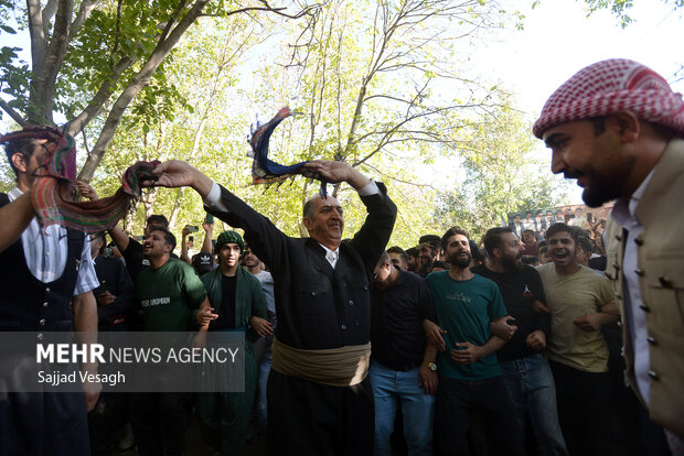جشن آلو در روستای حیدره قاضی خان همدان