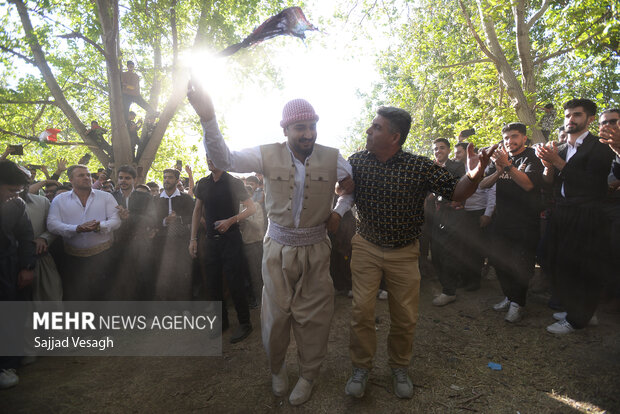 جشن آلو در روستای حیدره قاضی خان همدان