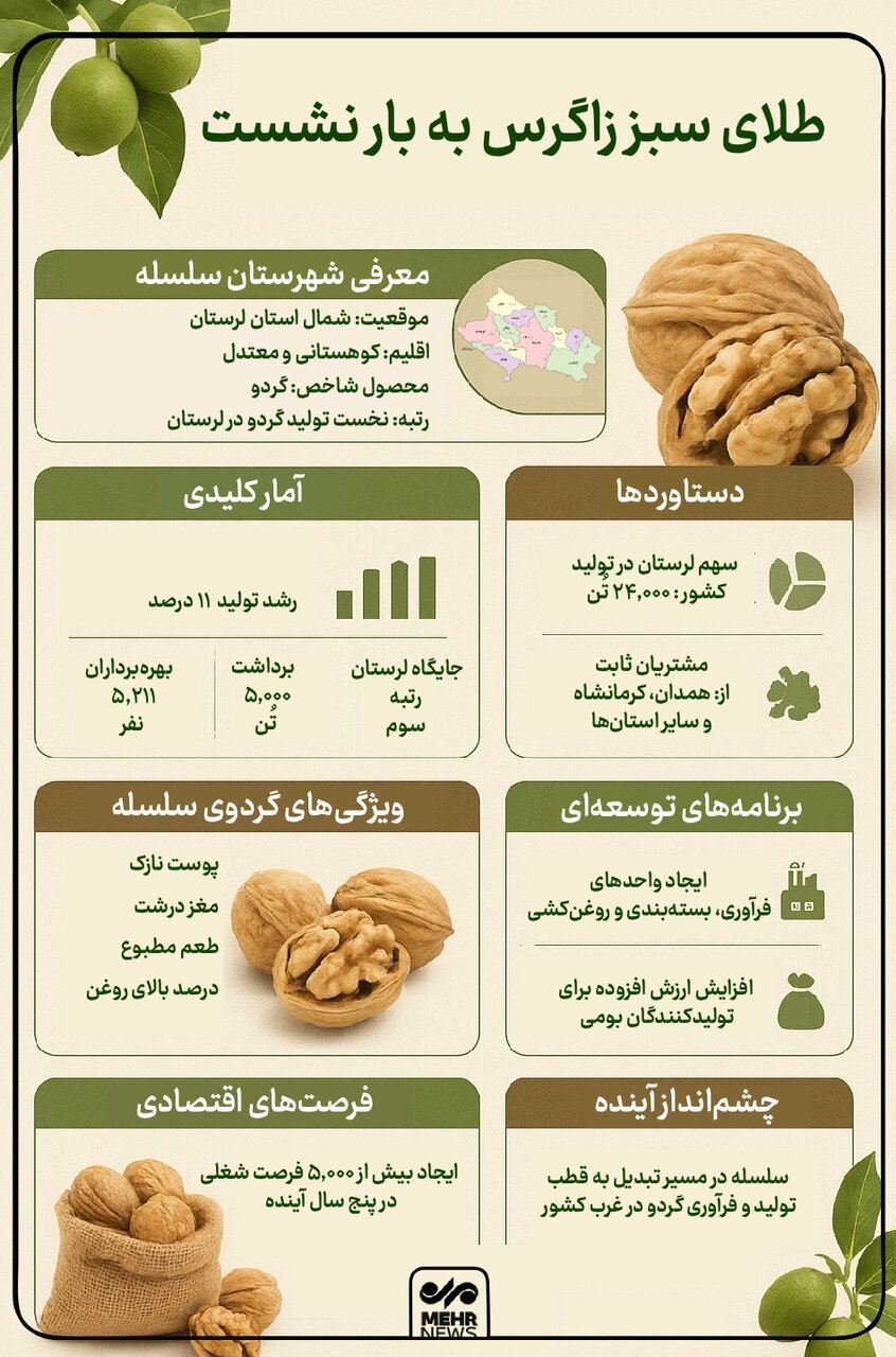 اینفوگرافیک؛«سلسله» قطب آیندهدار گردوی ایران