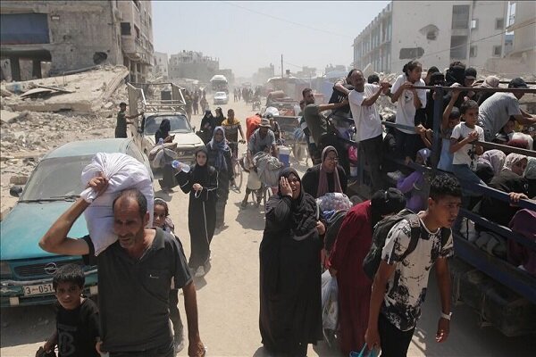 مؤسسه،غزه،نوار،گزارش،المجد