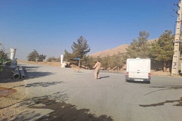 اجرای طرح زنده‌گیری سگ‌های بلاصاحب در سه بوستان جنگلی تهران