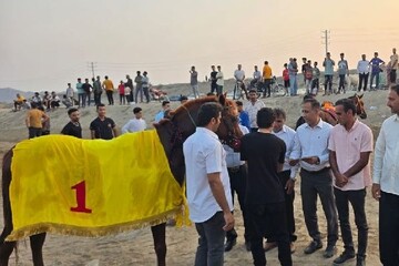 قهرمانی اسب «هویدا» در مسابقات اسب‌ دوانی میناب