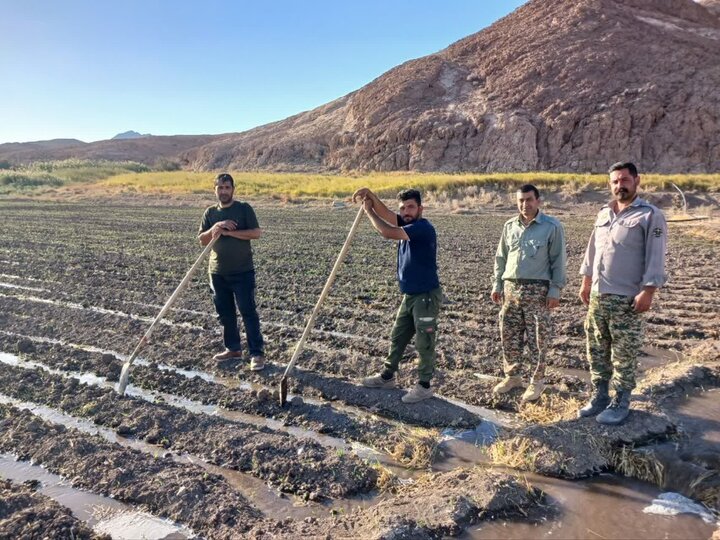 آغاز کشت علوفه برای حیات وحش در توران؛ پایداری زیستگاه در دستور کار است