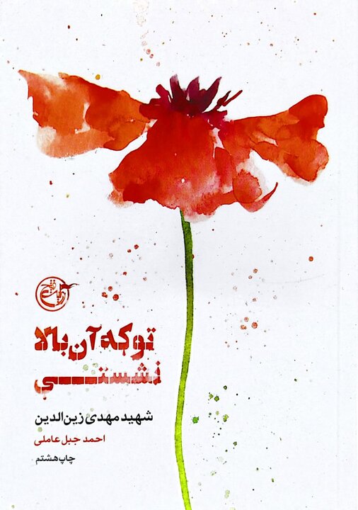 فرمانده جوانی که جزایر مجنون را آزاد کرد 3