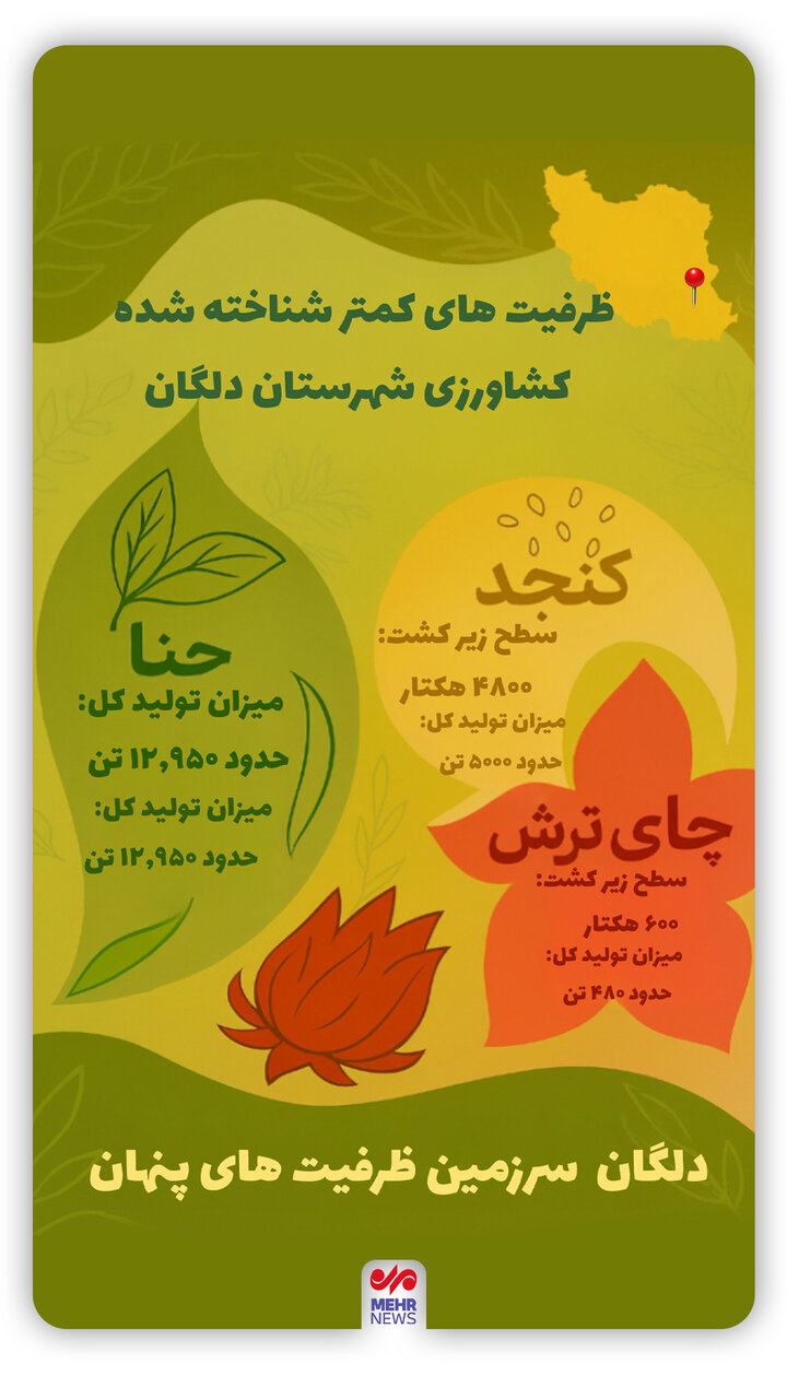 اینفوگرافیک؛ ظرفیت های کمتر شناخته شده کشاورزی شهرستان دلگان