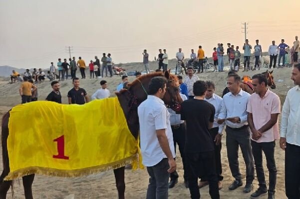 قهرمانی اسب «هویدا» در مسابقات اسب‌ دوانی میناب