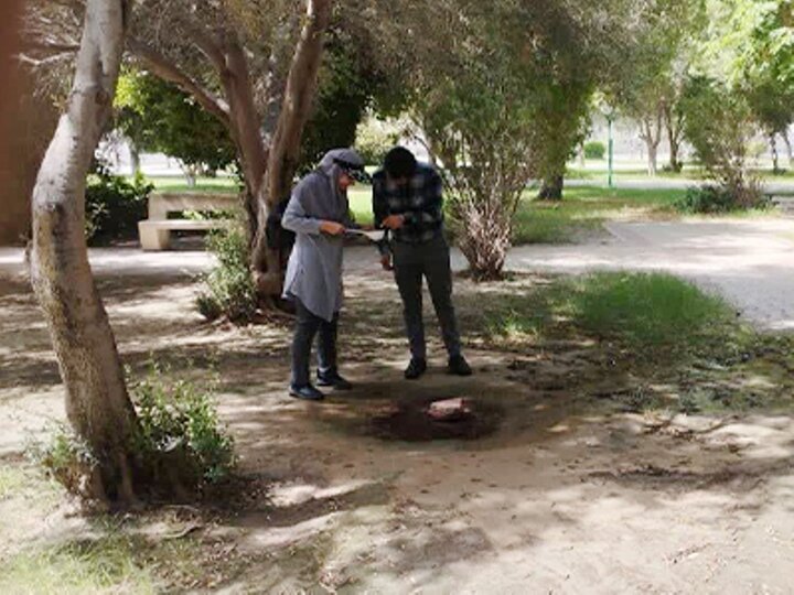 سرپرست مرکز بهداشت بوشهر: پایش مستمر پشه آئدس انجام میشود سرپرست مرکز بهداشت بوشهر: پایش مستمر پشه آئدس انجام میشود