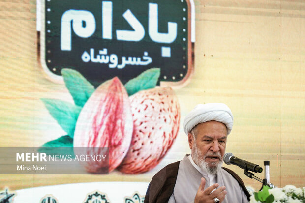 ‌ حجت الاسلام باقرنژاد امام جمعه خسروشاه