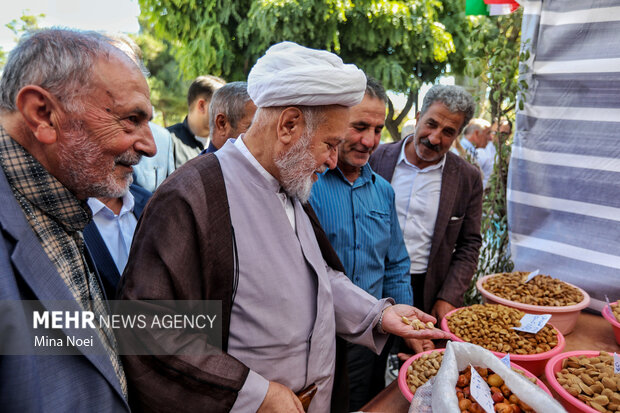 جشنواره بادام خسروشاه