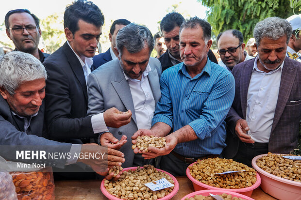 جشنواره بادام خسروشاه