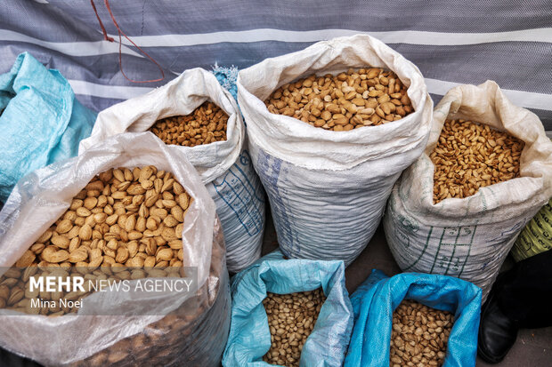 جشنواره بادام خسروشاه