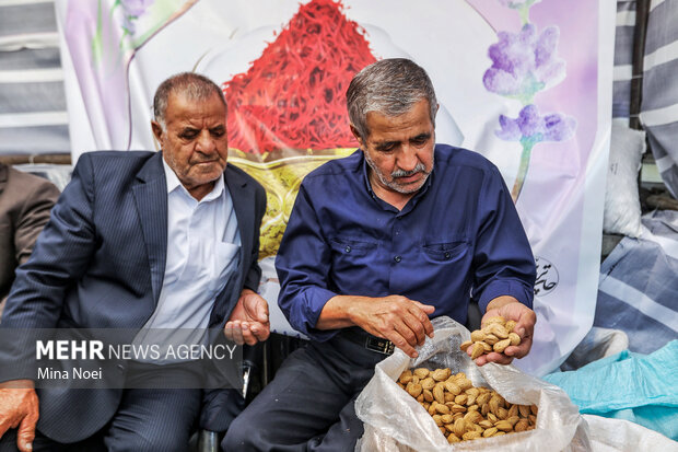 جشنواره بادام خسروشاه