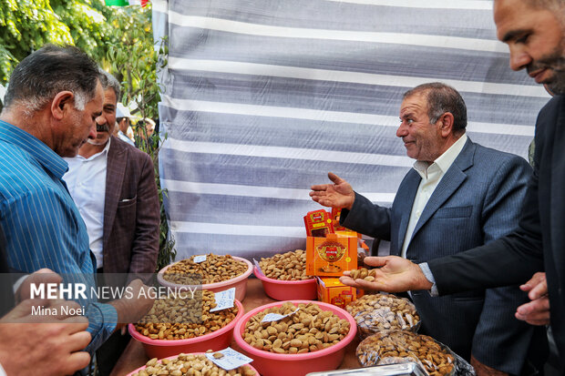 جشنواره بادام خسروشاه