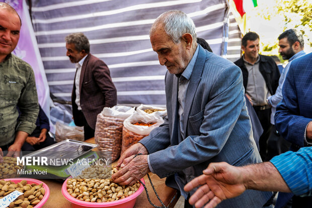 جشنواره بادام خسروشاه