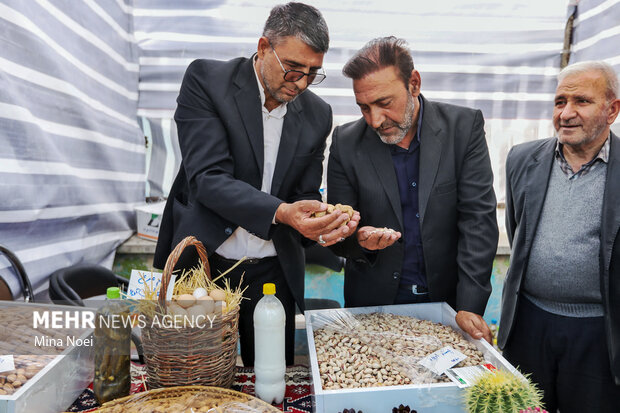 جشنواره بادام خسروشاه