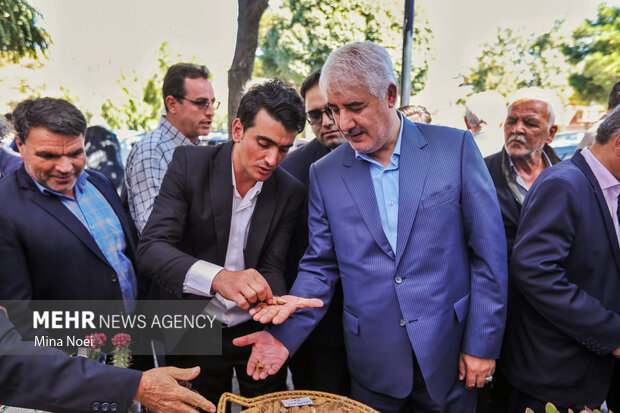 جشنواره بادام خسروشاه