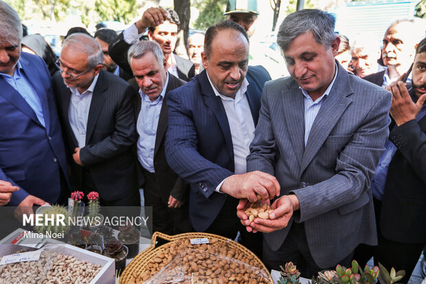 جشنواره بادام خسروشاه