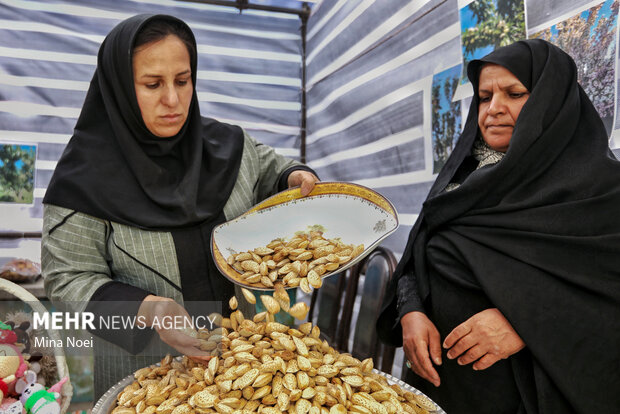 جشنواره بادام خسروشاه