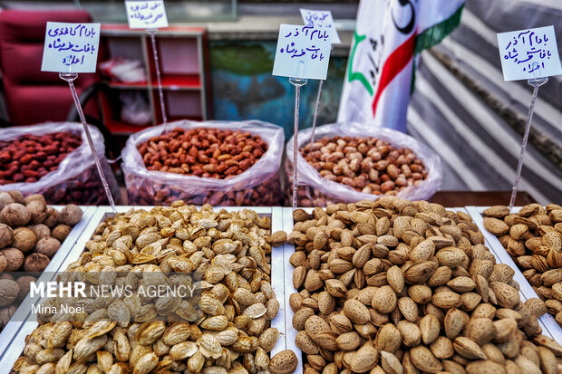 جشنواره بادام خسروشاه