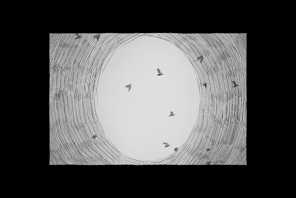 استفاده از هارمونی بصری در انیمیشن؛ همیشه دغدغه کمیک استریپ داشتم