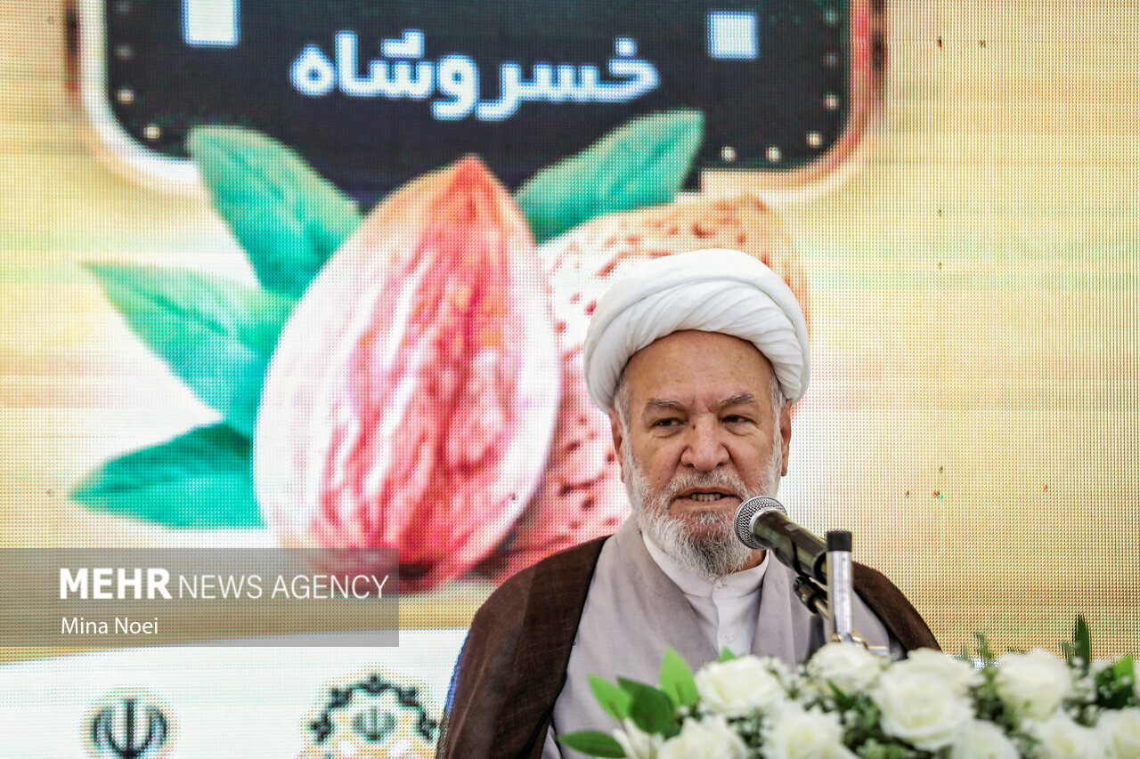 تیموری: اصلی ترین هدف جشنواره بادام، خدمت به کشاورزان است