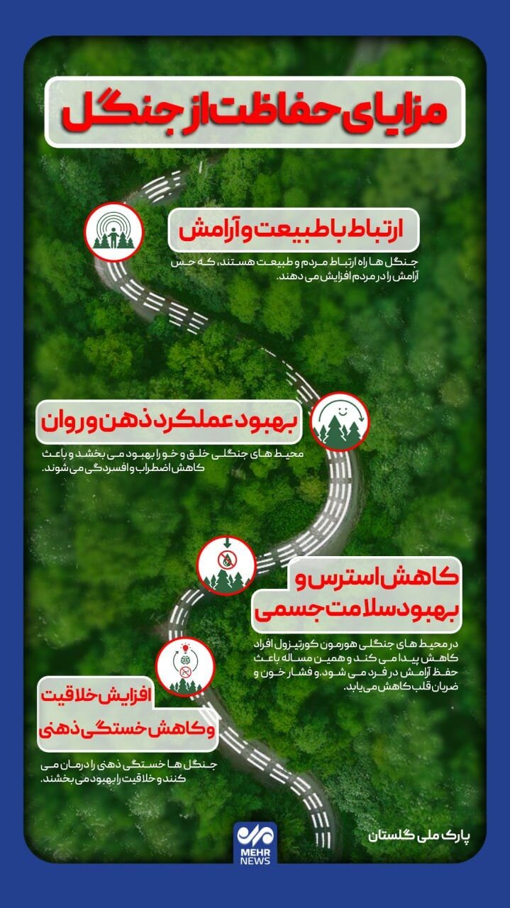 جنگل‌ها، پیوند انسان با طبیعت و آرامش