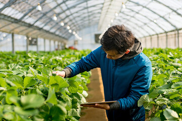 سالاری: اصلاح الگوی کشت مهمترین محور کاری اقتصاد استان کرمان است