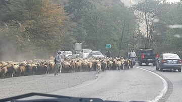 ترافیک چند کیلومتری در جاده کندوان